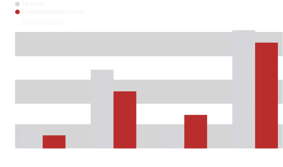 demografia chart